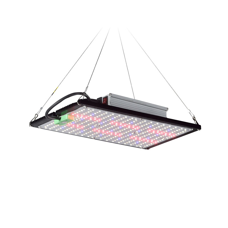 Светодиодный квантовый светиль – обзор и цена Led Grow Light