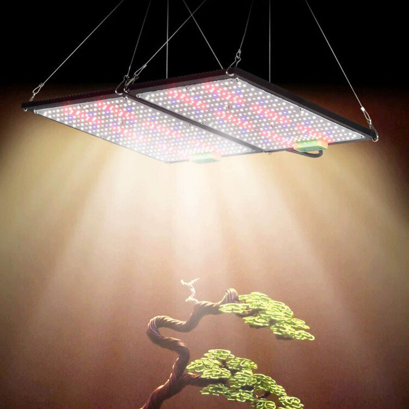 Светодиодный квантовый светиль – обзор и цена Led Grow Light