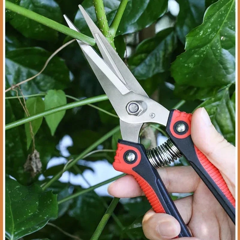 Секатор NEWSHARK из нержавеюще – обзор и цена Gardening Tools Sharp