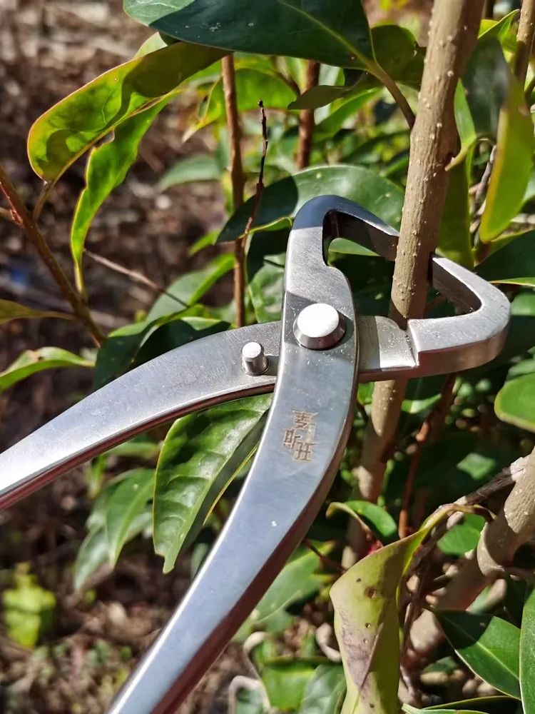Профессиональный набор инструм – обзор и цена Bonsai Tool Set