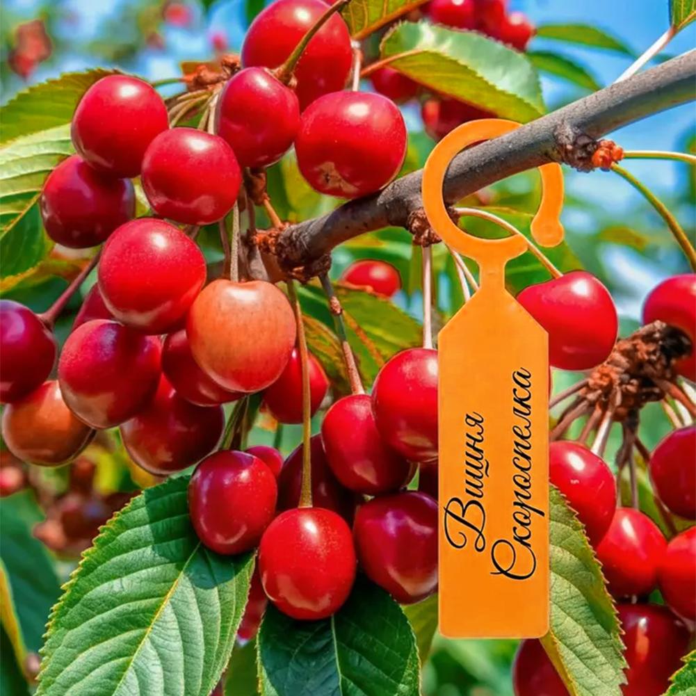 Многоразовые пластиковые водон – обзор и цена Garden Label Marker