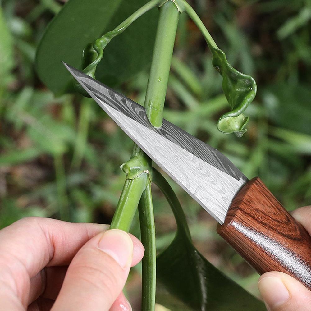 Острый садовый нож для прививк – обзор и цена Gardening Tools Sharp