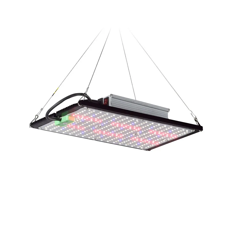 Светодиодный квантовый светиль – обзор и цена Led Grow Light